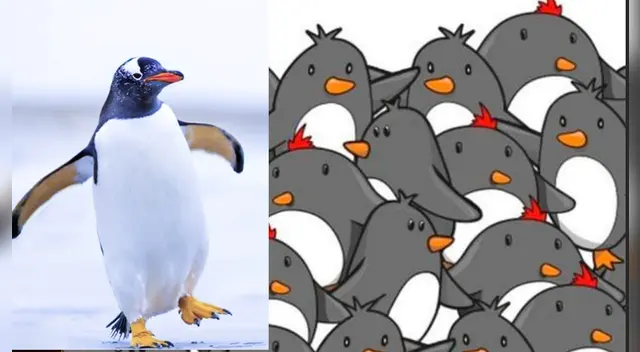 El challengue de Facebook ha causado sensación en las redes sociales.