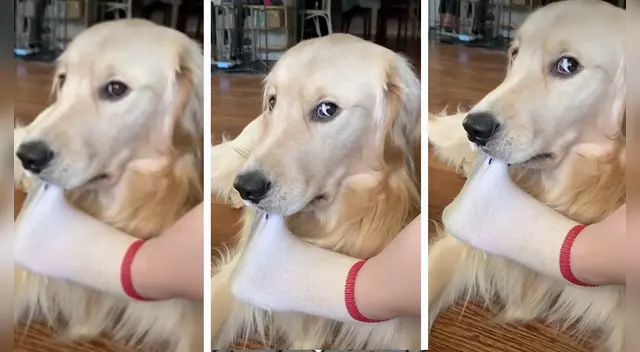 El clip cuenta con miles de reproducciones en YouTube.