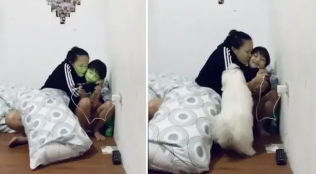 El perrito no soportó que su dueña acariciara a su sobrina. El perrito no soportó que su dueña acariciara a su sobrina.