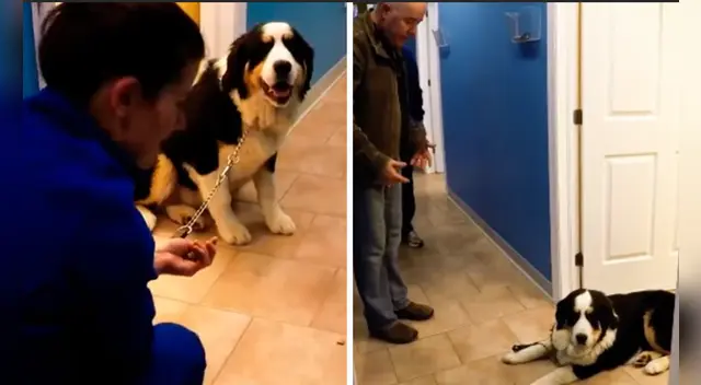 El clip cuenta con miles de reproducciones en Facebook. El clip cuenta con miles de reproducciones en Facebook.