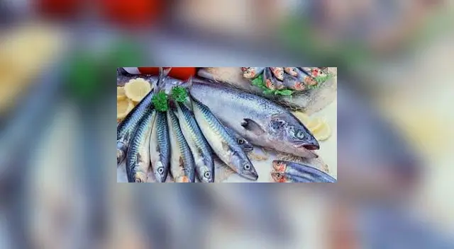 Mira la receta y secretos del delicioso chicharrón de pota para cocinarlo en casa de forma rápida. Mira la receta y secretos del delicioso chicharrón de pota para cocinarlo en casa de forma rápida.