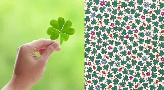Reto viral: encuentra el trébol de 4 hojas.