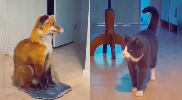 El clip cuenta con miles de reproducciones en Facebook. El clip cuenta con miles de reproducciones en Facebook.