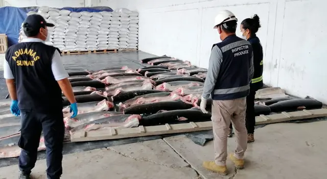 Cargamento valorizado en S/ 200 mil iba a ser comercializado en los mercados de Tumbes. Cargamento valorizado en S/ 200 mil iba a ser comercializado en los mercados de Tumbes.