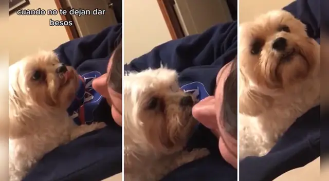 El clip cuenta con miles de reproducciones en Facebook.