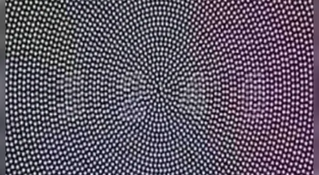 Tienes pocos segundos para dar con la repsuesta.