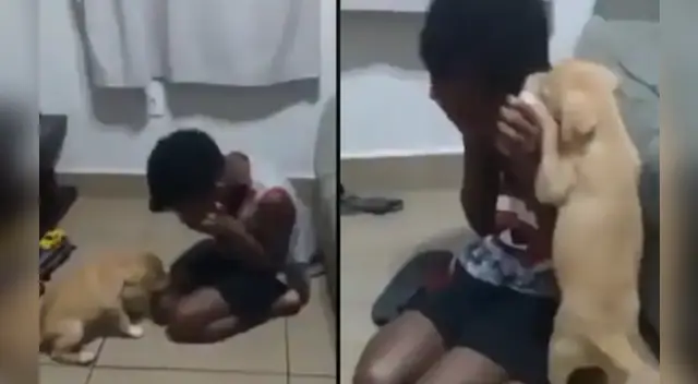 El clip cuenta con miles de reproducciones en Facebook.