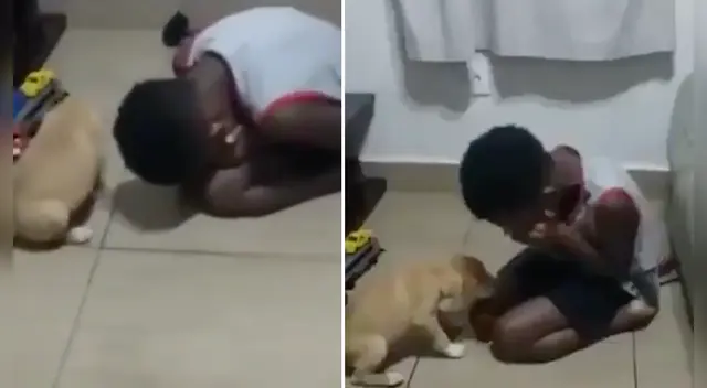 La emotiva escena se ha robado el corazón de miles de usuarios en las redes sociales.