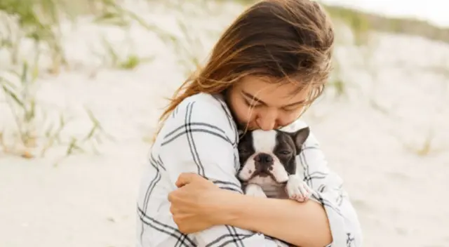 Una perrita logra meterse a la ambulancia que llevaba a su dueño al hospital y dejó sorprendidos a todos al esquivar a los paramédicos. Una perrita logra meterse a la ambulancia que llevaba a su dueño al hospital y dejó sorprendidos a todos al esquivar a los paramédicos.