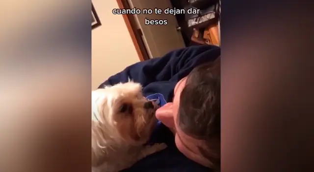 El clip cuenta con miles de reproducciones en Facebook.