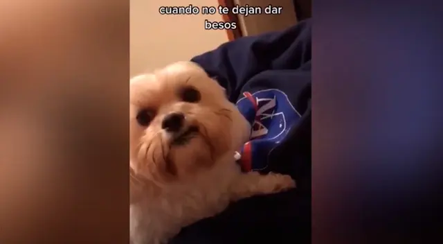 El clip cuenta con miles de reproducciones en Facebook.