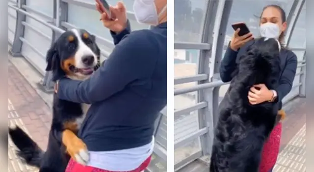 La tierna escena cautivó a los usuarios en las redes sociales. La tierna escena cautivó a los usuarios en las redes sociales.