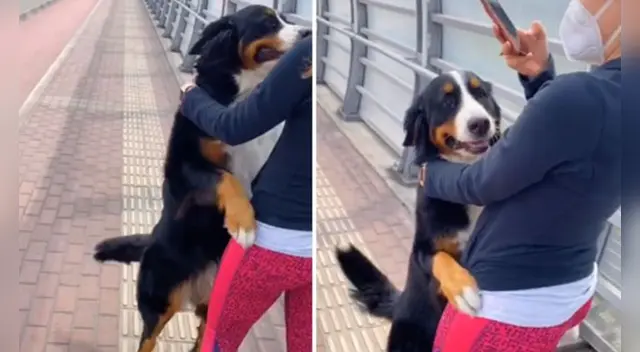 El clip cuenta con miles de reproducciones en TikTok. El clip cuenta con miles de reproducciones en TikTok.