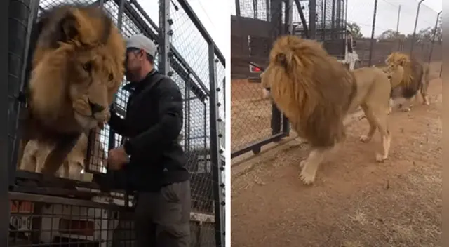 La tierna escena cautivó a los usuarios en las redes sociales.