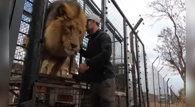 El clip cuenta con miles de reproducciones en YouTube.