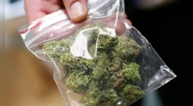 El niño traía en su mochila diversos envoltorios  de marihuana que fueron introducidos por la pareja.