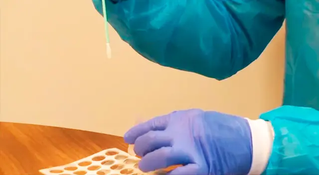 Al igual que las pruebas moleculares (PCR), la muestra también se recoge a través de un hisopado nasal.