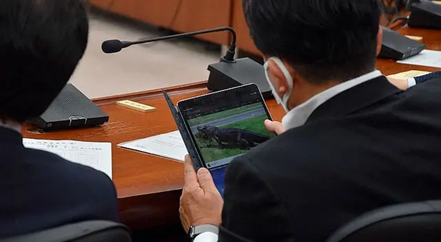 Captan a un diputado viendo un video de cocodrilos durante sesión parlamentaria Captan a un diputado viendo un video de cocodrilos durante sesión parlamentaria