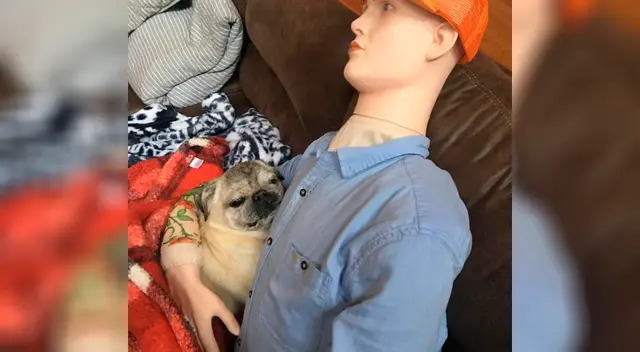 El maniquí lleva la ropa de su dueño, incluso los tatuajes.