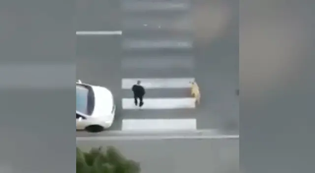 Hombre detuvo el tránsito para que un temeroso perro pueda cruzar la pista Hombre detuvo el tránsito para que un temeroso perro pueda cruzar la pista