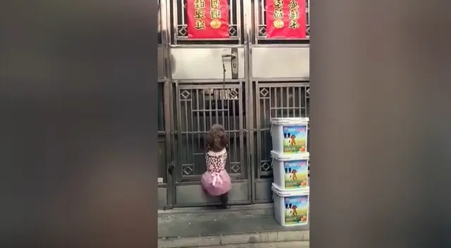 El perro sorprendió en TikTok por su entusiasmo al abrir una puerta. El perro sorprendió en TikTok por su entusiasmo al abrir una puerta.