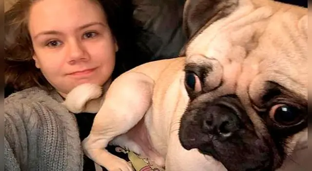 El comportamiento de un perrito causó risas y sorpresas en miles de internautas de Facebook tras evitar que su dueño se vaya a trabajar. El comportamiento de un perrito causó risas y sorpresas en miles de internautas de Facebook tras evitar que su dueño se vaya a trabajar.