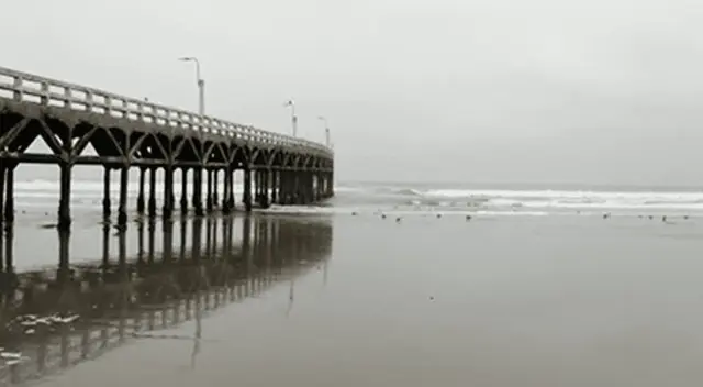 Indeci descarta sismo de gran magnitud o tsunami tras retiro del mar en Cerro Azul.