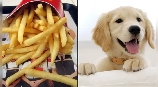 La cómica escena causó la risa de miles de internautas en las redes sociales. La cómica escena causó la risa de miles de internautas en las redes sociales.