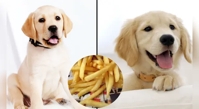 El clip cuenta con miles de reproducciones en TikTok. El clip cuenta con miles de reproducciones en TikTok.