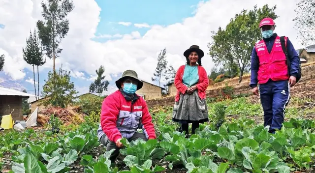 Ya se publicó el cronograma de beneficiarios del segundo bono familiar. Ingresa al link del Midis y consulta si te toca cobrar S/760 para comprar medicinas y alimentos durante la pandemia.