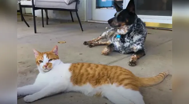 El clip cuenta con miles de reproducciones en YouTube. El clip cuenta con miles de reproducciones en YouTube.