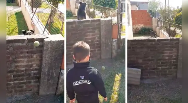 El clip cuenta con miles de reproducciones en Facebook.