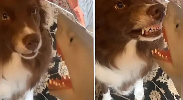 El clip cuenta con miles de reproducciones en YouTube. El clip cuenta con miles de reproducciones en YouTube.