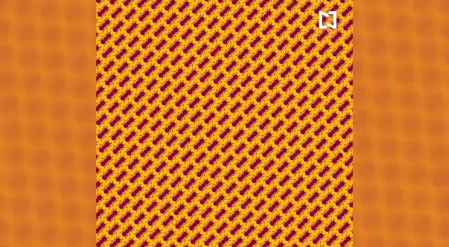 Encuentra a las hormigas que caminan en sentido contrario a las demás