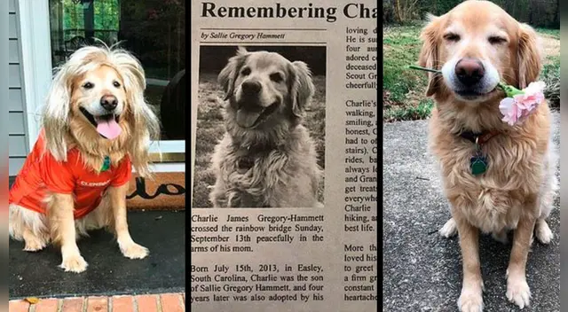 La emotiva escena se ha robado el corazón de miles de usuarios en las redes sociales. La emotiva escena se ha robado el corazón de miles de usuarios en las redes sociales.