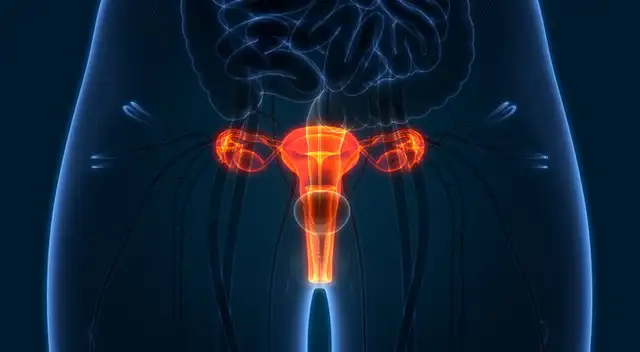 El cáncer de cuello uterino es la principal causa de muerte en las peruanas. El cáncer de cuello uterino es la principal causa de muerte en las peruanas.