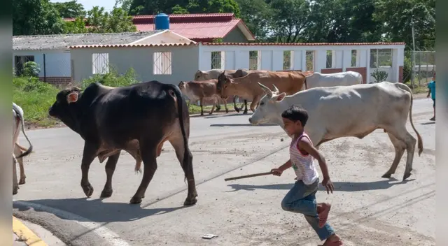 El hecho ocurrió el pasado 29 de septiembre del presente año. El hecho ocurrió el pasado 29 de septiembre del presente año.