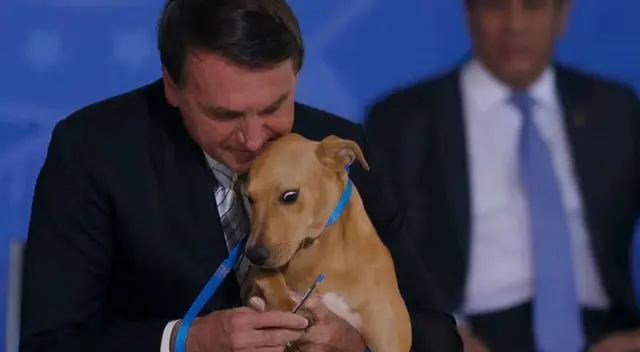 Jair Bolsonaro promulga una ley contra el maltrato animal
