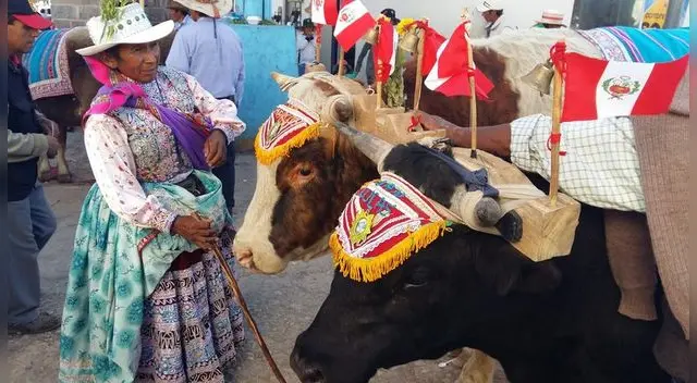 Caylloma es conocida por realizar un concurso y desfile de los mejores ganados del pueblo. Caylloma es conocida por realizar un concurso y desfile de los mejores ganados del pueblo.