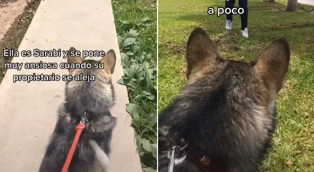 Miles de personas se sorprendieron con los consejos del entrenador.