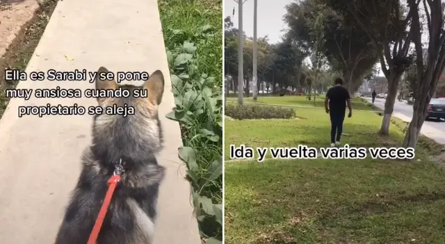 Miles de personas se sorprendieron con los consejos del entrenador.