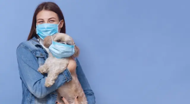 Un cachorro aullaba sin pensar que un lobo le respondería con el mismo aullido. El clip se viralizó TikTok causando la risa en cibernautas.