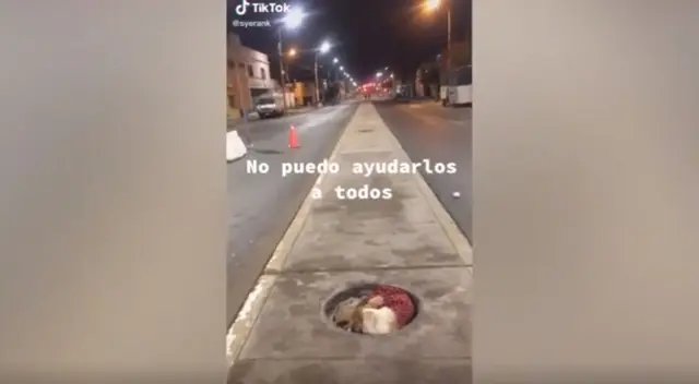 El soldado peruano instó a la población a ayudar a los animales callejeros y tratarlos con cariño. El video se hizo viral en TikTok. El soldado peruano instó a la población a ayudar a los animales callejeros y tratarlos con cariño. El video se hizo viral en TikTok.