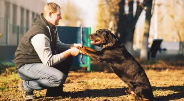 Un soldado peruano se hizo viral en TikTok tras compartir un video en el que le da cariño y comida a un perro que duerme en plena vereda. Un soldado peruano se hizo viral en TikTok tras compartir un video en el que le da cariño y comida a un perro que duerme en plena vereda.