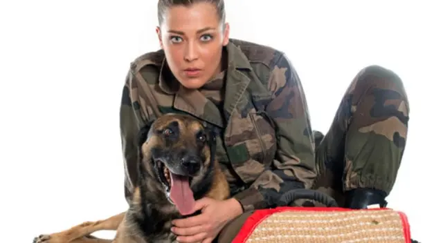 Un perrito dormía en la calle y un soldado peruano se acercó a darle comida tras verlo en plena vereda temblando de frío. Un perrito dormía en la calle y un soldado peruano se acercó a darle comida tras verlo en plena vereda temblando de frío.