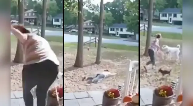 La escena causó la risa de varios usuarios en las redes sociales. La escena causó la risa de varios usuarios en las redes sociales.