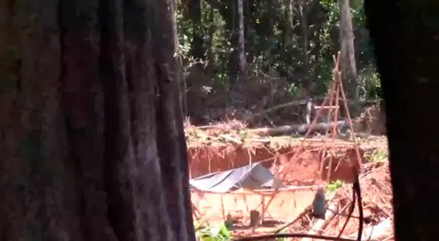 Actividades ilícitas en Madre de Dios.