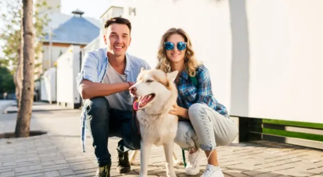 ¡Conmovedor episodio! Un joven soldado peruano grabó un clip de TikTok para mostrar cómo un perro duerme en plena vía pública. ¡Conmovedor episodio! Un joven soldado peruano grabó un clip de TikTok para mostrar cómo un perro duerme en plena vía pública.