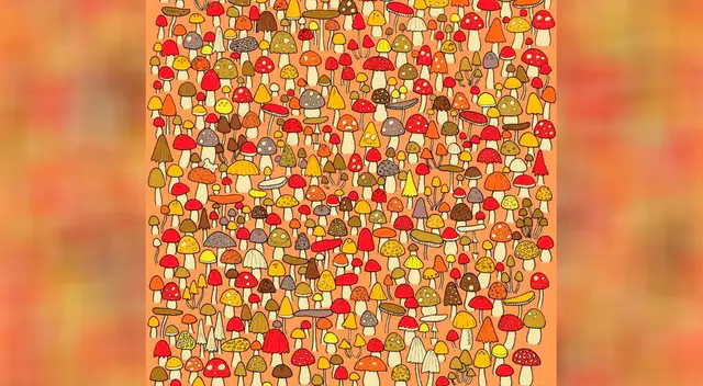 ¿Serás capaz de encontrar al pequeño ratón entre los hongos?