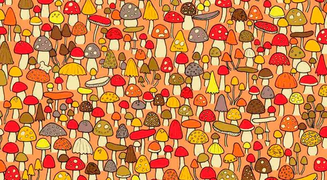 ¿Serás capaz de encontrar al pequeño ratón entre los hongos?